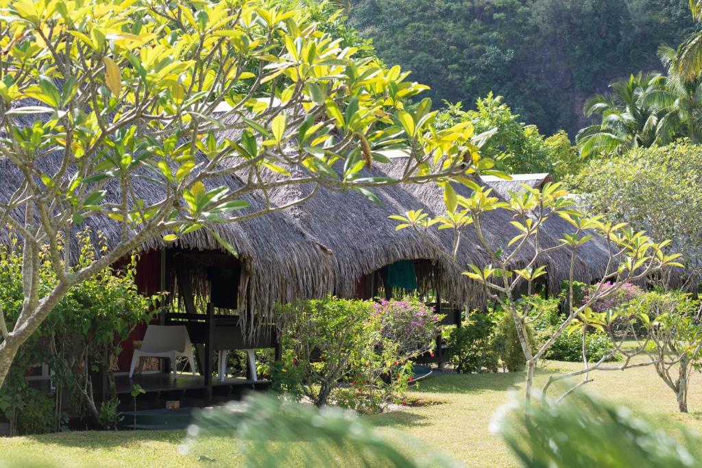 Um jardim no exterior de Hotel Hibiscus