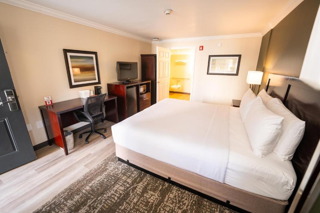 Mai Hana Hotel- Intl Drive, Trademark Collection by Wyndham - King Room With Roll-in Shower - Mobility Access/Non-Smoking