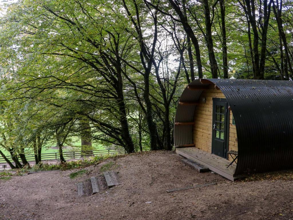 Enclosure in Ballybeg (carbury By.)
