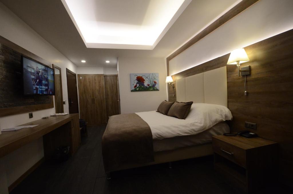 Sarikamis Habitat Hotel - Habitación Doble O Gemela Estándar