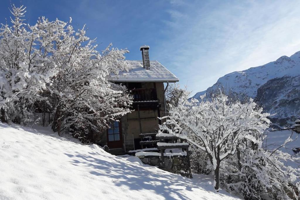 une cabine dans la neige avec des arbres devant elle dans l'établissement Petit chalet de montagne, à Mizoën