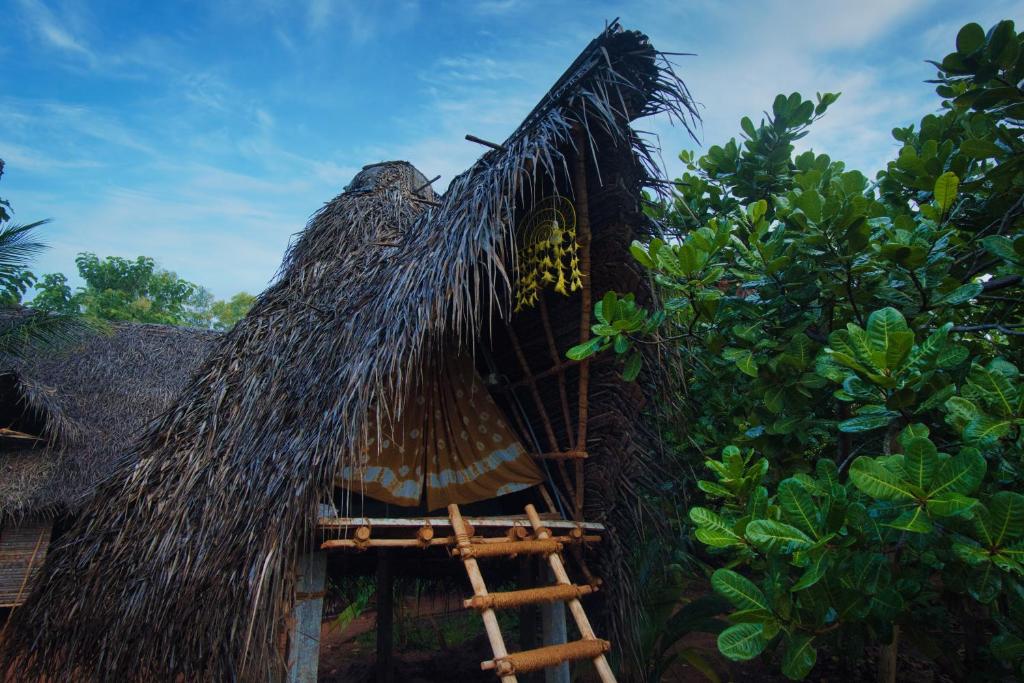 Φωτογραφία από το άλμπουμ του Portal σε Auroville