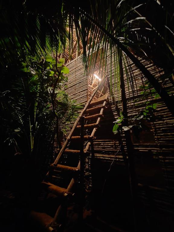 Φωτογραφία από το άλμπουμ του Portal σε Auroville