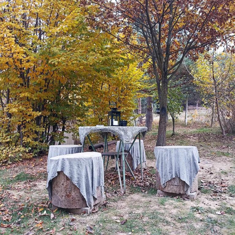 a table with a table cloth on it in the woods at Forest Hide Tiny House in Covasna