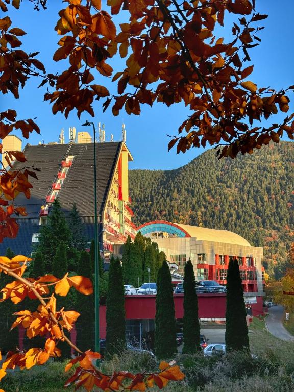 Hotel Piatra Mare - Resim 24