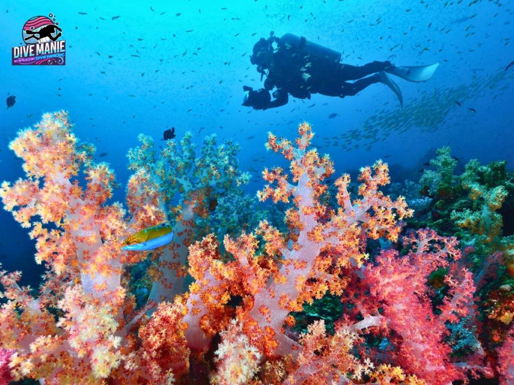 Hosté ubytování Khaolak Dive Resort