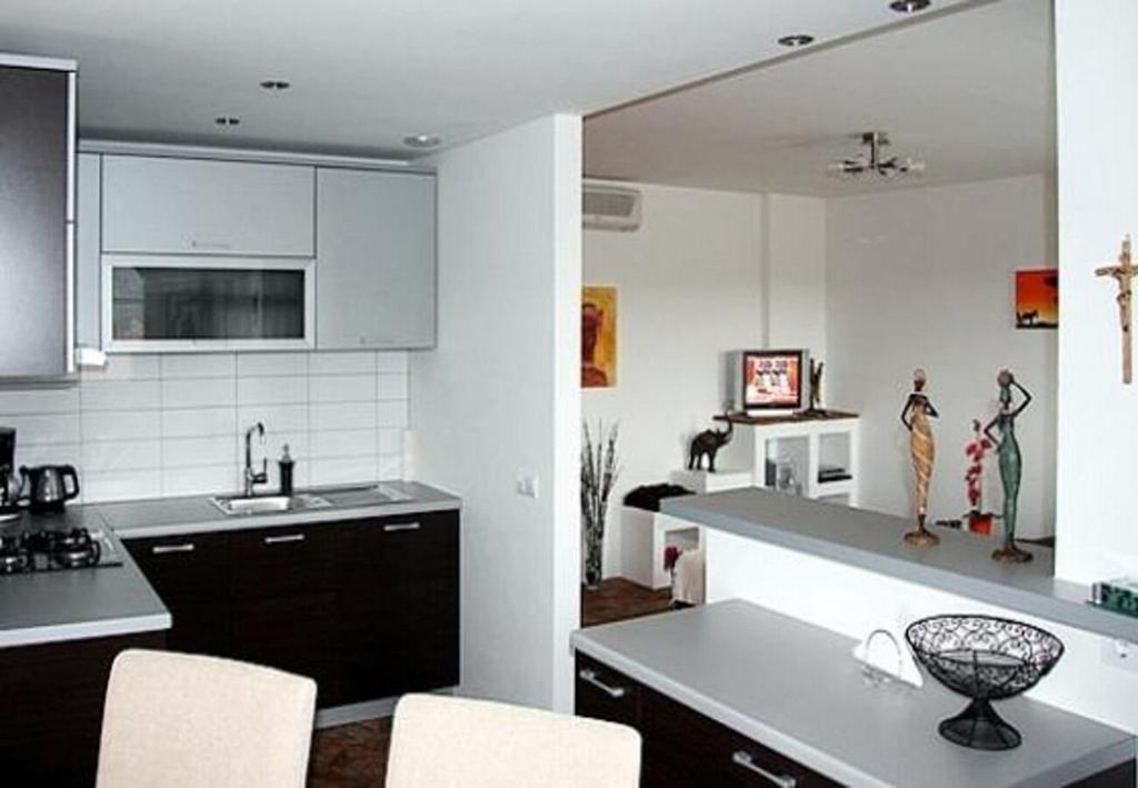 Kuchyňa alebo kuchynka v ubytovaní Apartments Martin