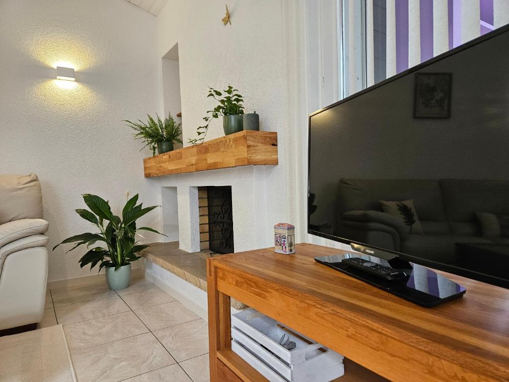TV a/nebo společenská místnost v ubytování Apartment Sweet Home Sion