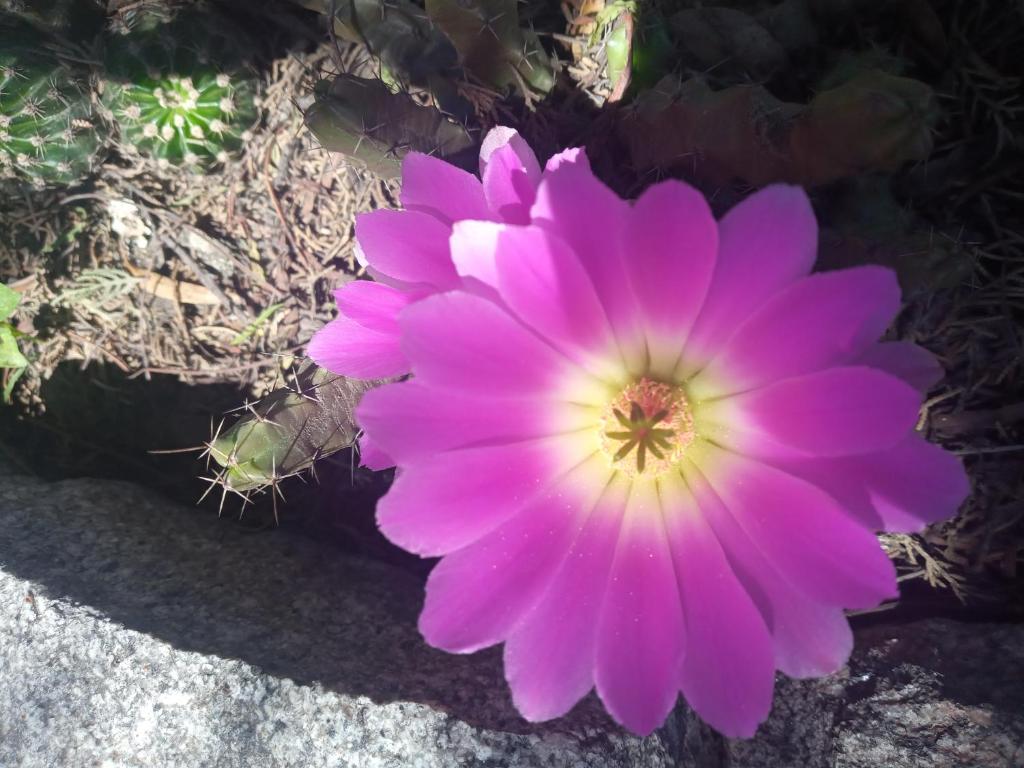 Φωτογραφία από το άλμπουμ του Cabañas en las Sierras de Cordoba σε Valle Hermoso