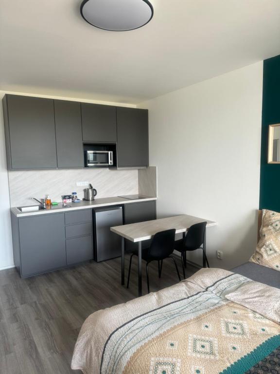 a room with a bed and a table and a kitchen at 4U centre apartments in Olomouc
