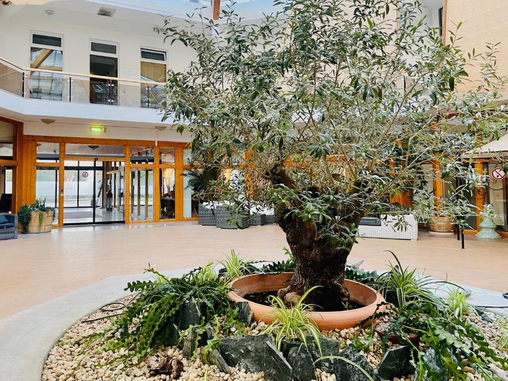Zahrada ubytování Hotel Rabenstein