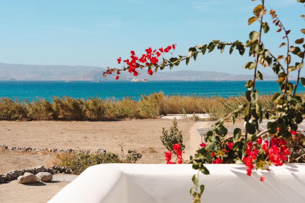 Archon Seaside Retreat - 9