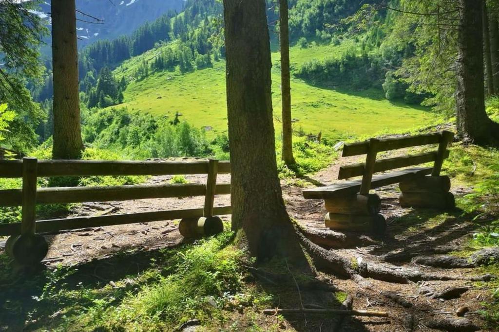 Príroda v okolí apartmánu