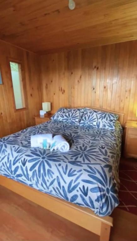 Cabañas Ayalén con vista al Lago