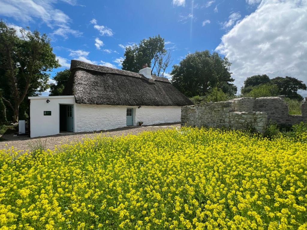 a barn with a thatched roof and a field of yellow flowers at Goggin Cottage in New Kildimo
