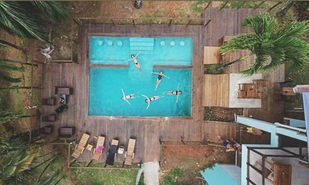 La alberca dentro o cerca de Bird Island Bungalows