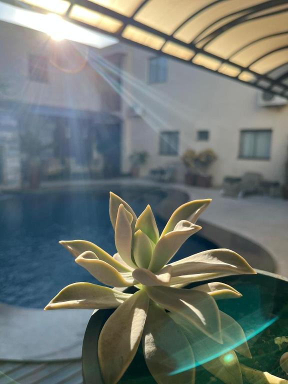 Maximus Business by - Easy Hotéis