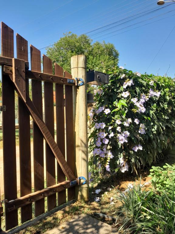 Um jardim em Santa Monica Hospedaria