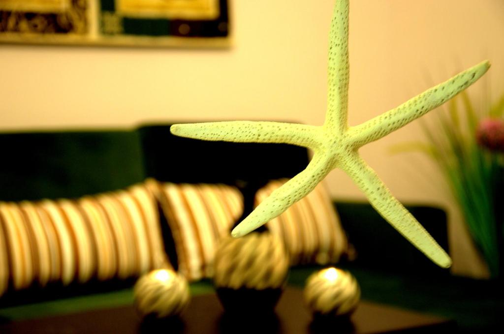 a close up of a starfish on top of a table at Konukevim Apartments in Ankara