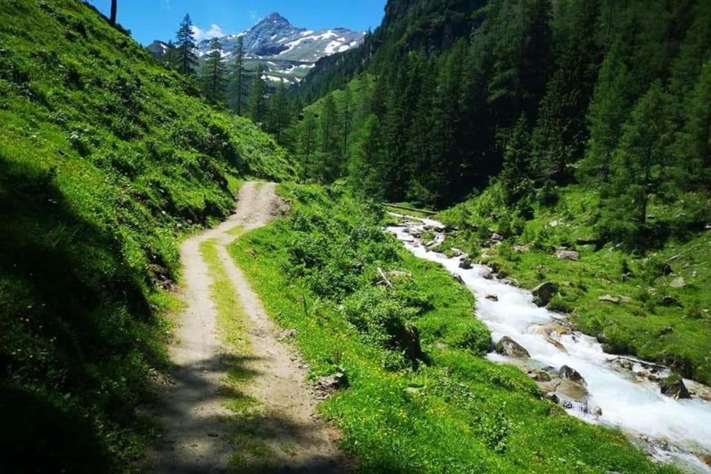 Príroda v okolí apartmánu