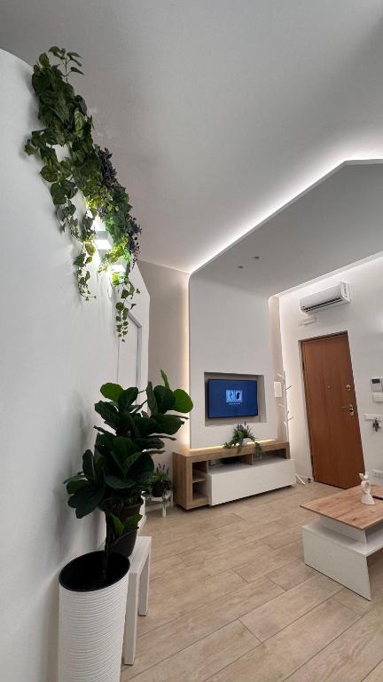 a living room with a potted plant on the wall at Don Armando al Massimo in Palermo