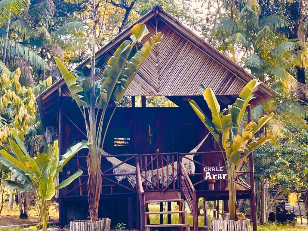 Zahrada ubytování Ponta Poranga Jungle Lodge