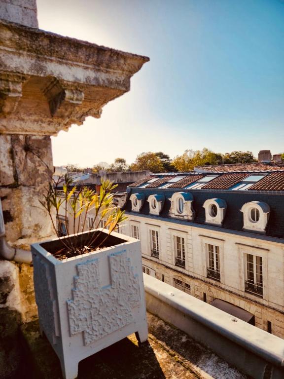un planteur assis sur le fond d'un bâtiment dans l'établissement Chez Alma, à La Rochelle