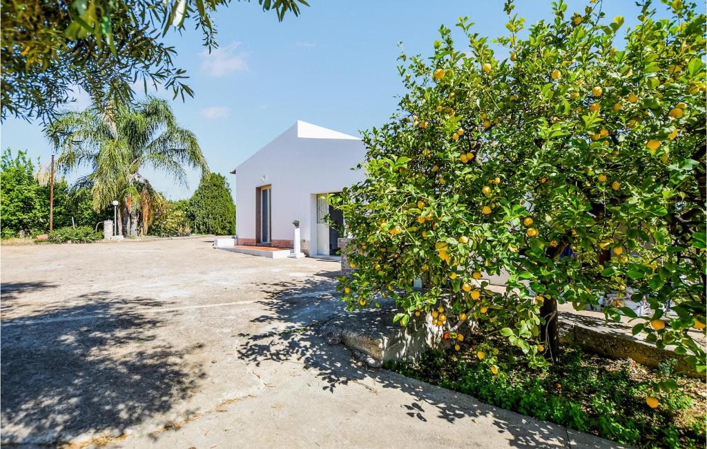 Taman di luar 2 Bedroom Cozy Home In Siracusa