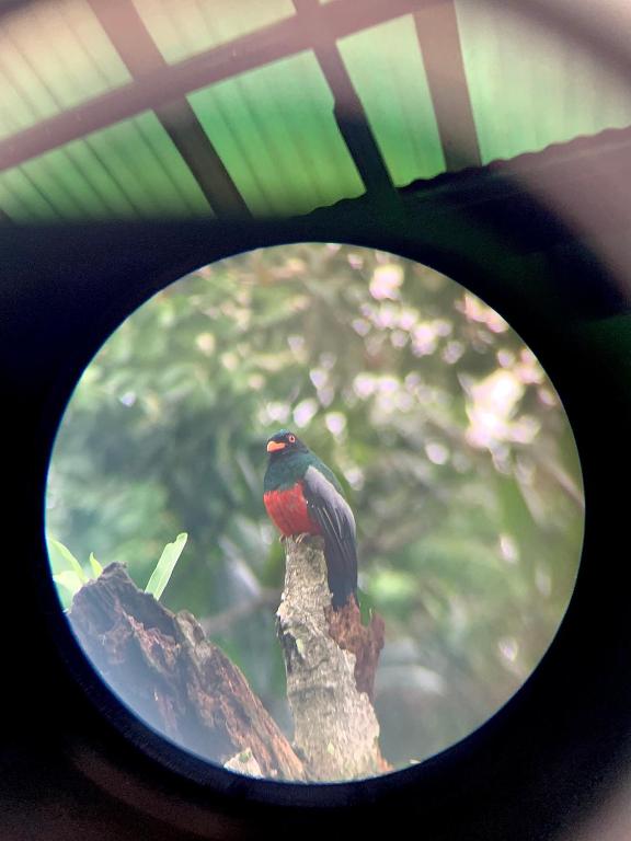 Fotografie z fotogalerie ubytování H et L v destinaci Tortuguero