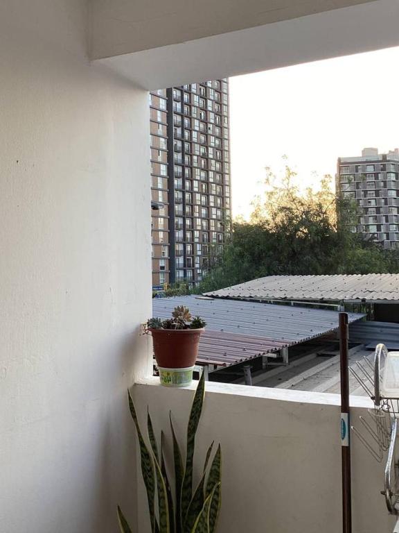 Balkón nebo terasa v ubytování Hostel Barranco Sunset