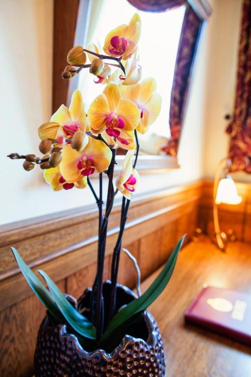 Fotografie z fotogalerie ubytování Hotel Abácie & Wellness v destinaci Valašské Meziříčí