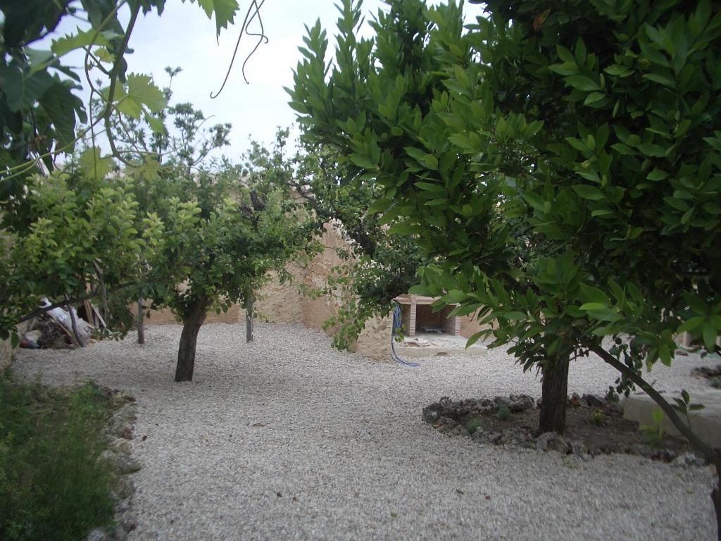 A garden outside Casas Rurales Tío Segundo