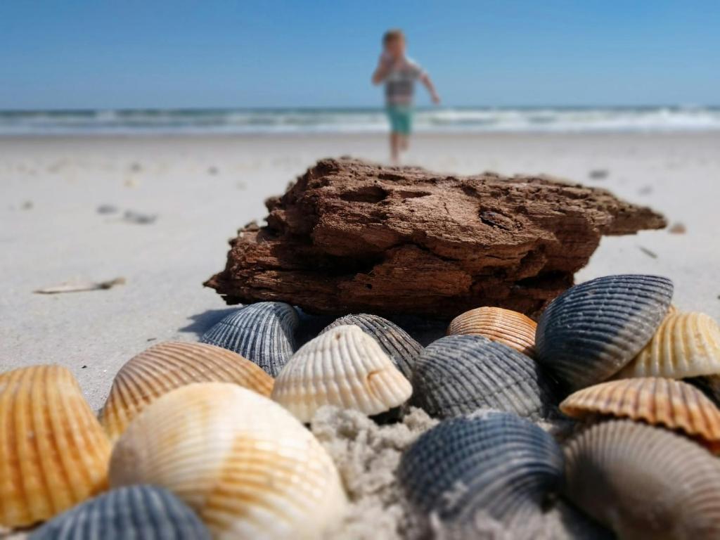 Spiaggia vicina o nei dintorni della locanda