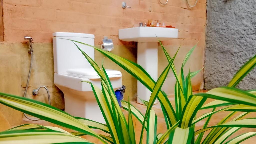 Lotus Eco Villa - 15