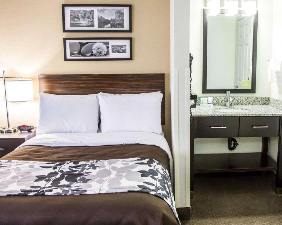 Sleep Inn Tinley Park I-80 near Amphitheatre-Convention Center - Habitación Con Cama Extragrande - No Fumadores