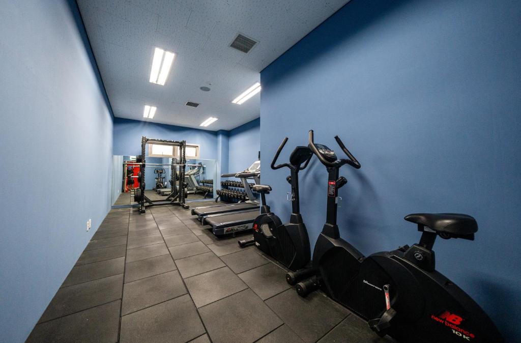 Fitness centrum a/nebo fitness zařízení v ubytování Jeju Aerospace Hotel