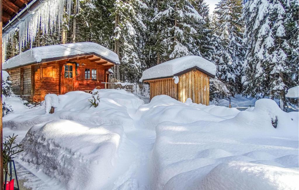 Erholsames Ferienhaus Pillberg during the winter