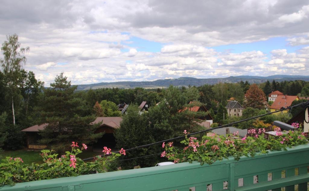 Pension Villa Irene - 8