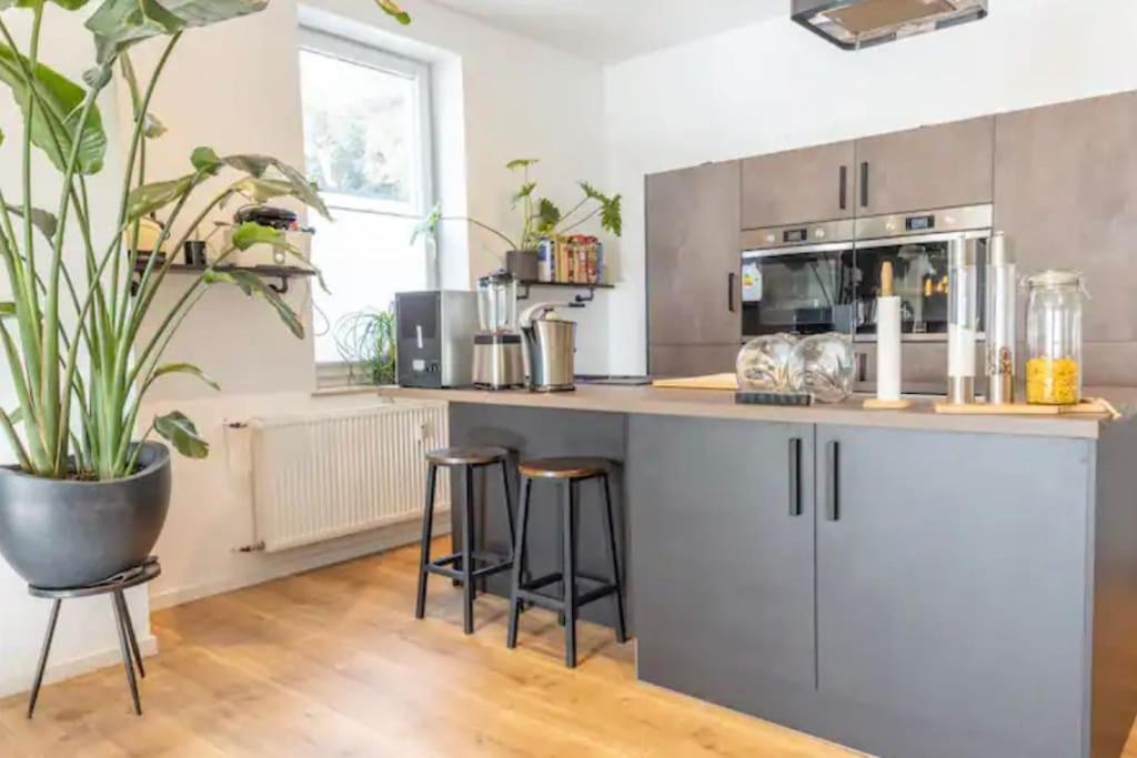 a kitchen with a counter with stools and a large plant at Design Apartment im Zentrum von Nienburg! in Nienburg