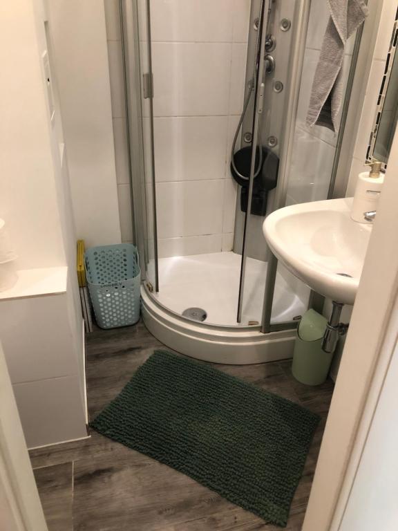 uma pequena casa de banho com um chuveiro e um lavatório. em Apartment Gute Laune-Good mood em Viena