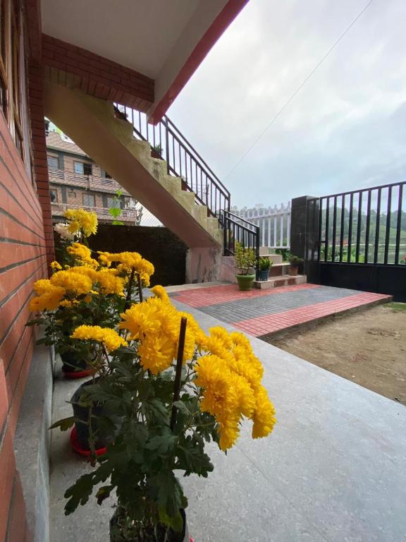 Fotografie z fotogalerie ubytování Namaste Nest v destinaci Mirik