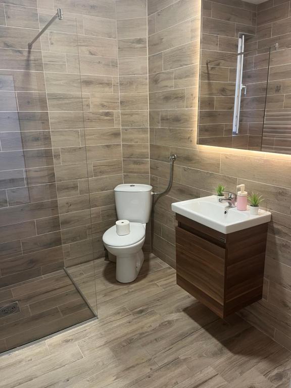 a bathroom with a toilet and a sink at Apartmani Tesla in Soko Banja