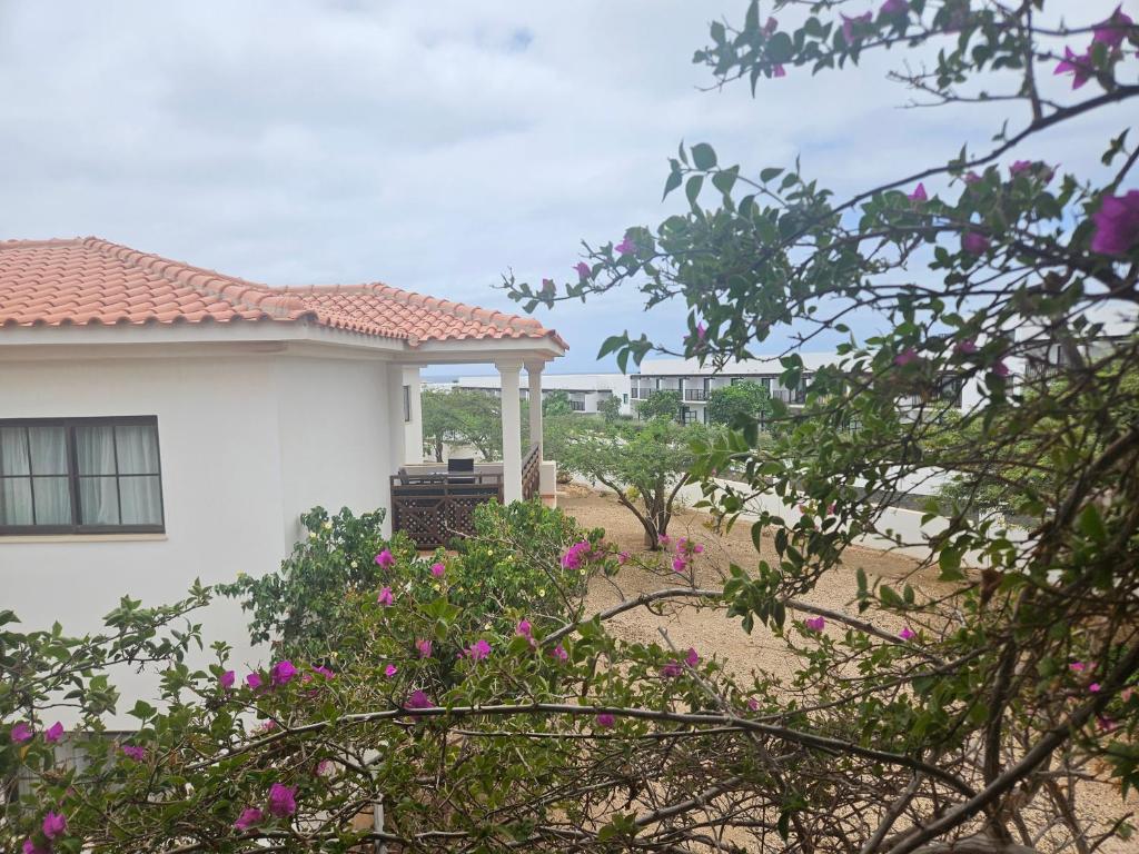 Zahrada ubytování Private Apartment At Tortuga Beach Resort and Spa