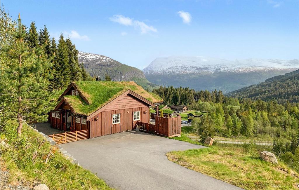a house with a grass roof with a driveway at Beautiful Home In Stryn With Kitchen in Stryn