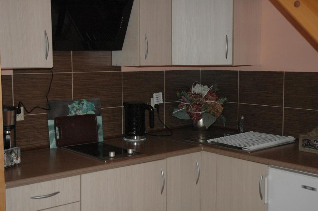 Agroturystyka Pod Jesionem - 15