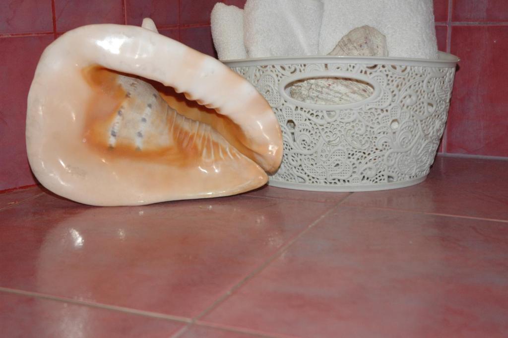 Agroturystyka Pod Jesionem - 18