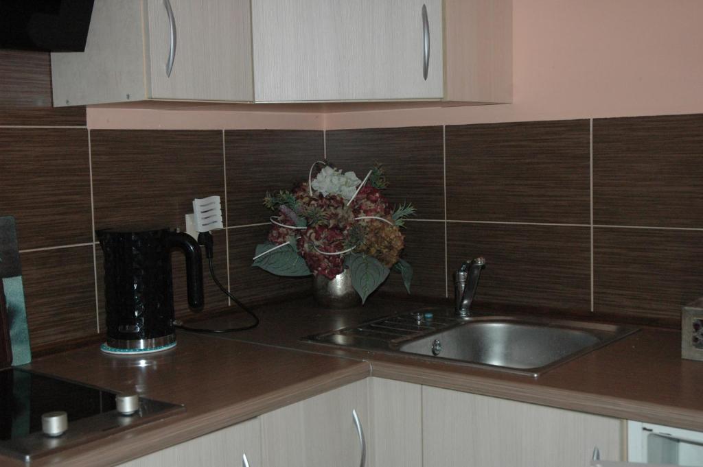 Agroturystyka Pod Jesionem - 13