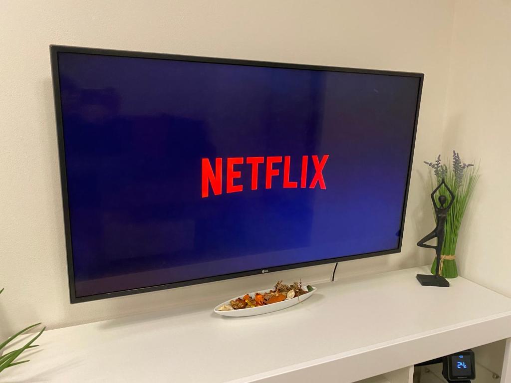 TV a/nebo společenská místnost v ubytování Apartmány Krymlov
