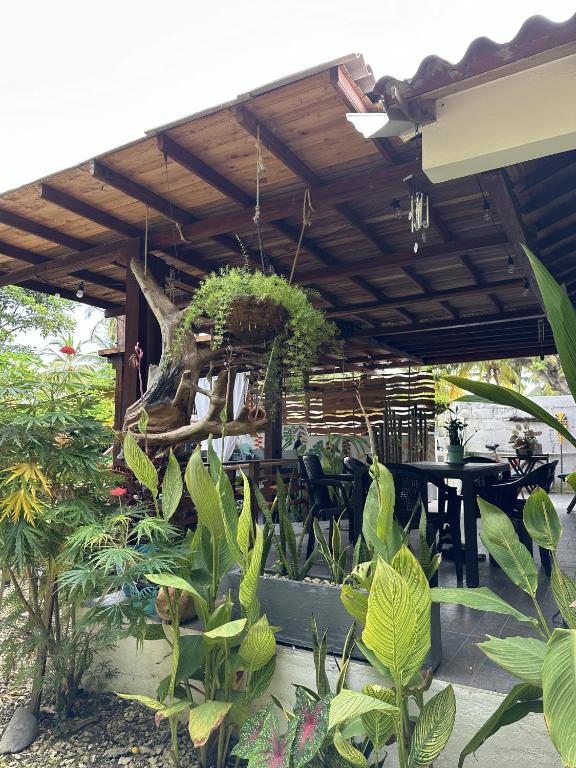 Zahrada ubytování Habitación privada en la playa HappyBeach_co