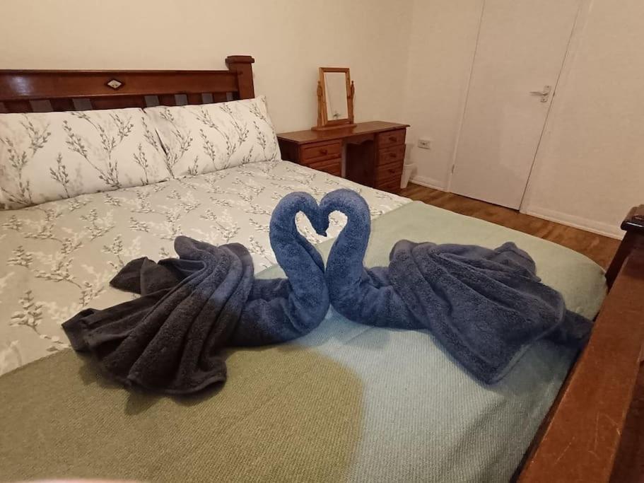 two towel swans sitting on top of a bed at Sheffield Serenity in Heeley